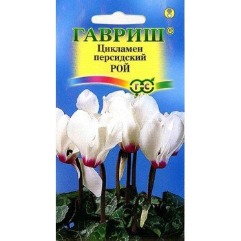 Цикламен Стриата /3 семечка/ *Гавриш*