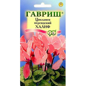 Цикламен Халиф /3 семечка/ *Гавриш*