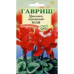 Цикламен Юля /3 семечка/ *Гавриш*