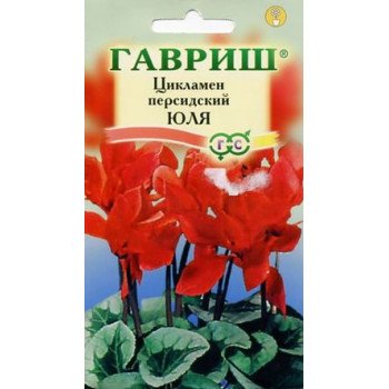 Цикламен Юля /3 семечка/ *Гавриш*