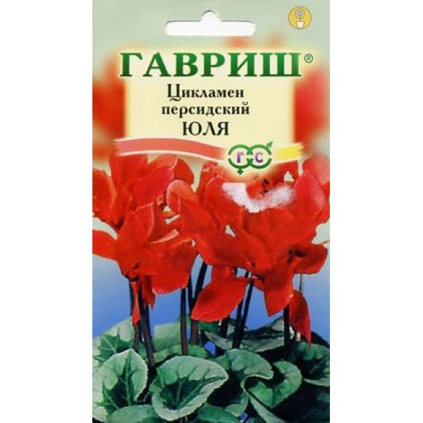 Семна цикламена Юля /3 семечка/ *Гавриш*
