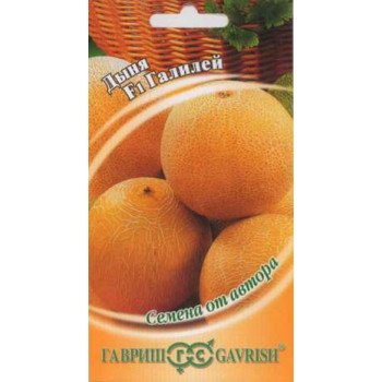Дыня Галилей F1 /15 семян/ *Гавриш*
