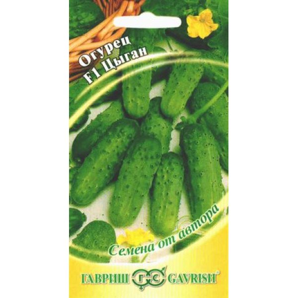 Насіння огірка Циган F1 /10 насінин/ *Гавриш*
