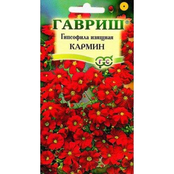 Гипсофила изящная Кармин /0,3 г/ *Гавриш*
