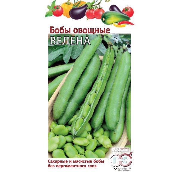 Семена бобов Велена /10 семян/ *Гавриш*