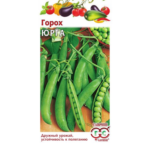 Семена гороха Юрга /10 г/ *Гавриш*
