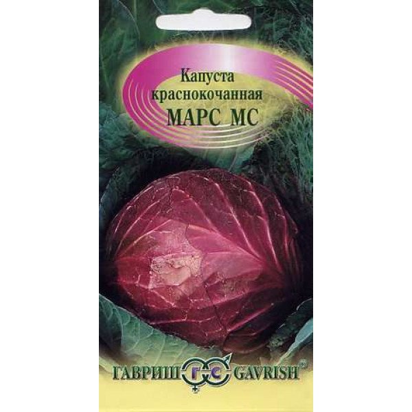 Насіння капусти червоноголової Марс /0,3 г/ *Гавриш*