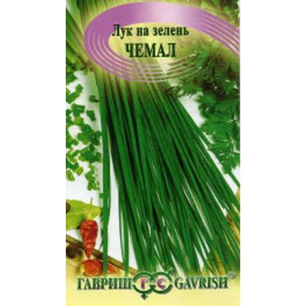 Семена лука на зелень Чемал /1 г/ *Гавриш*