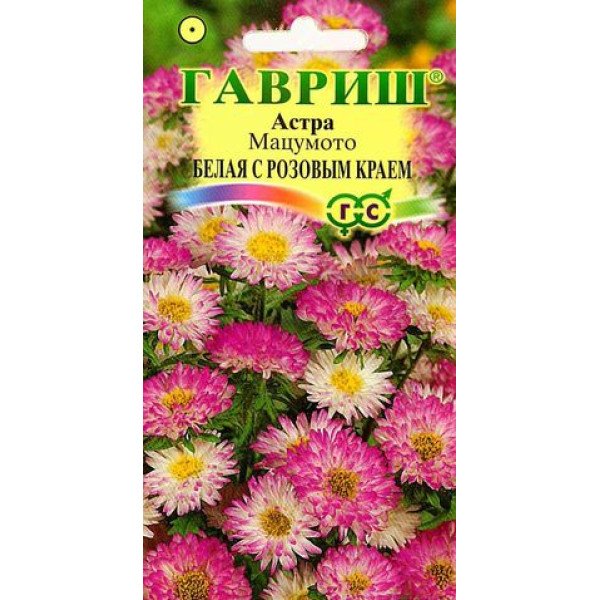 Насіння айстри Мацумото біла з рожевим краєм /0,3 г/ *Гавриш*