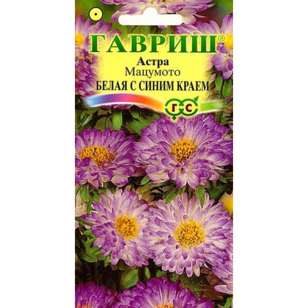 Насіння айстри Мацумото біла з синім краєм /0,3 г/ *Гавриш*