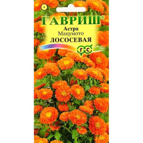 Насіння айстри Мацумото лососева /0,3 г/ *Гавриш*