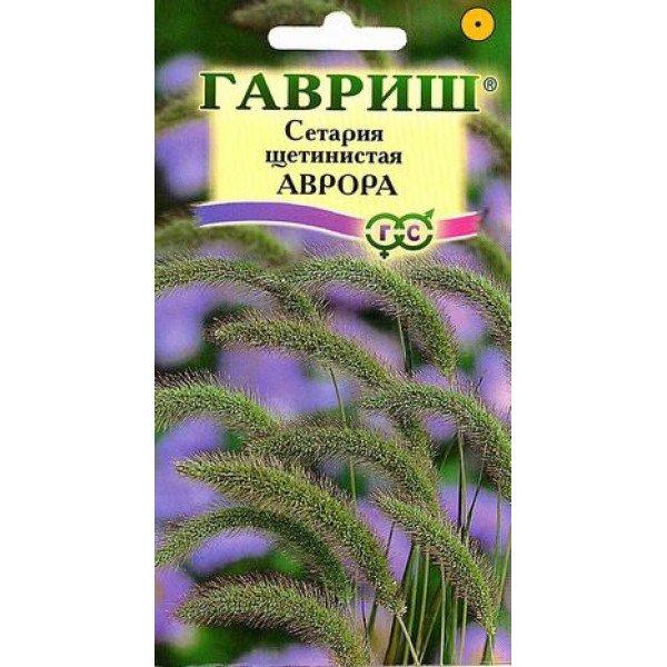Насіння сетарії щетинистої Аврора /1 г/ *Гавриш*