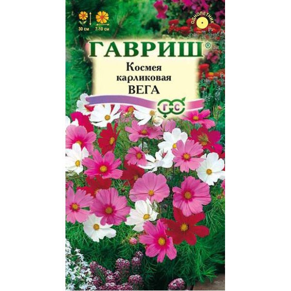 Насіння космеи Вега /0,5 г/ *Гавриш*