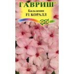 Бальзамін Корал F1 /5 насінин/ *Гавриш*