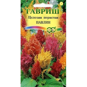 Целозия перистая Павлин смесь /0,1 г/ *Гавриш*