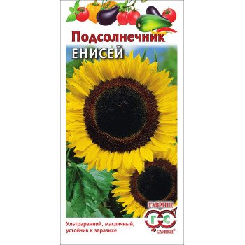 Соняшник Єнісей /10 г/ *Гавриш*