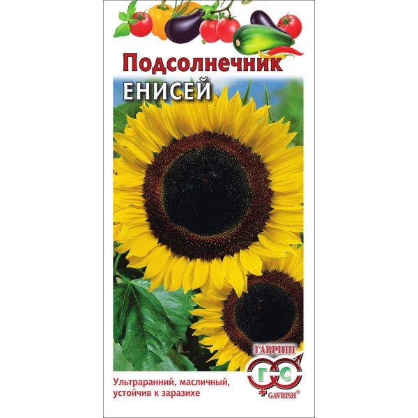 Насіння соняшнику Єнісей /10 г/ *Гавриш*