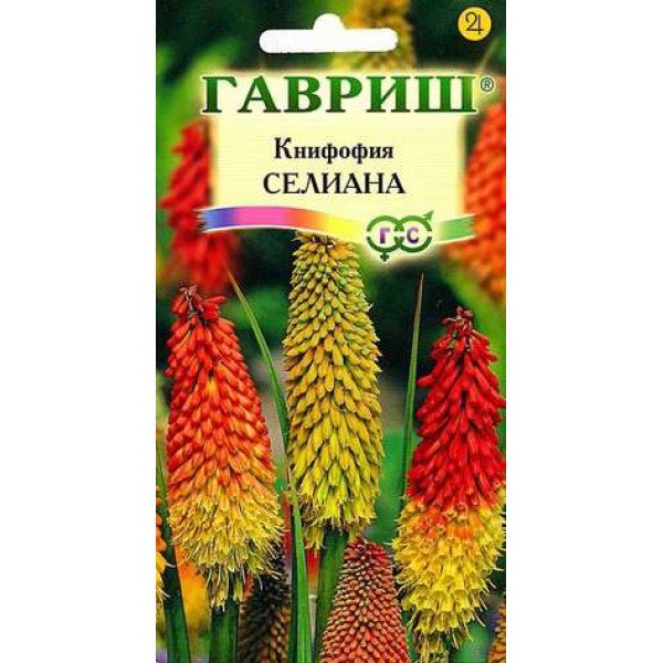 Насіння кніфофіі ягідної Селіана /0,1 г/ *Гавриш*