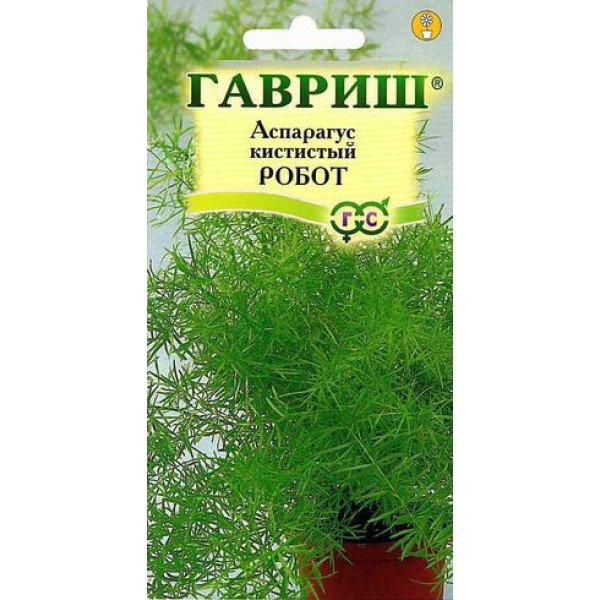 Насіння аспарагуса кістистого Робот /0,3 г/ *Гавриш*