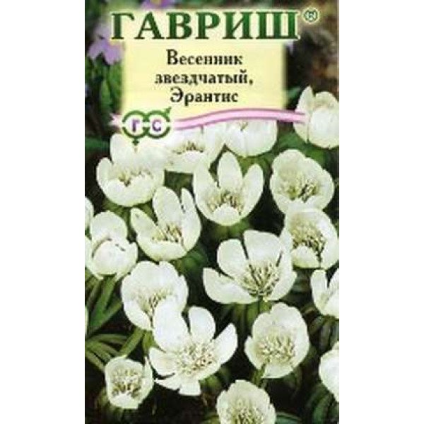 Семена весенника звездчатого Соната /0,01 г/ *Гавриш*