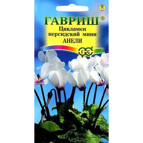 Семена цикламена Анели /3 семечка/ *Гавриш*