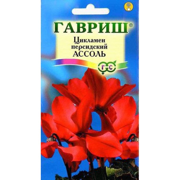 Семена цикламена Ассоль /3 семечка/ *Гавриш*