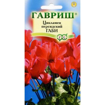 Цикламен Луна /3 семечка/ *Гавриш*