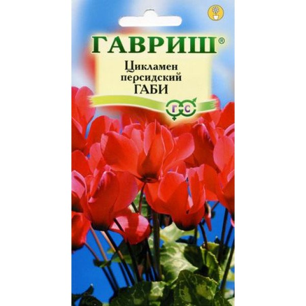 Семена цикламена Луна /3 семечка/ *Гавриш*