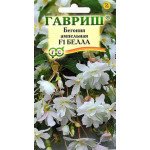 Бегония Белла F1 /5 семян/ *Гавриш*