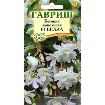 Бегония Белла F1 /5 семян/ *Гавриш*