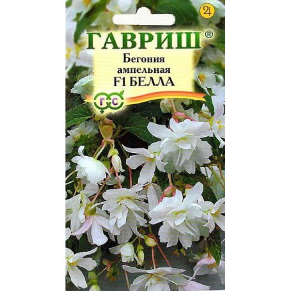 Семена бегонии Белла F1 /5 семян/ *Гавриш*