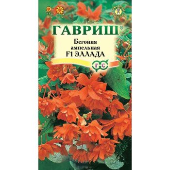 Бегонія Еллада F1 /5 насінин/ *Гавриш*