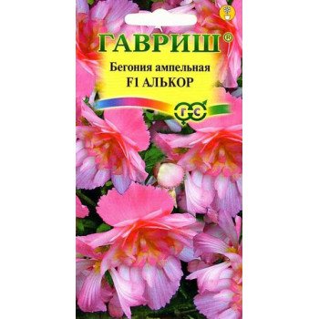 Бегония Алькор F1 /4 семечка/ *Гавриш*