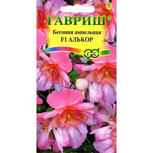 Семена бегонии Алькор F1 /4 семечка/ *Гавриш*
