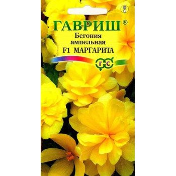 Бегонія Маргарита F1 /4 насінини/ *Гавриш*