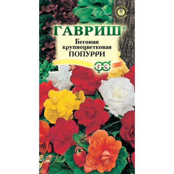 Насіння бегонії Попурі крупноквіткова суміш /5 насінин/ *Гавриш*