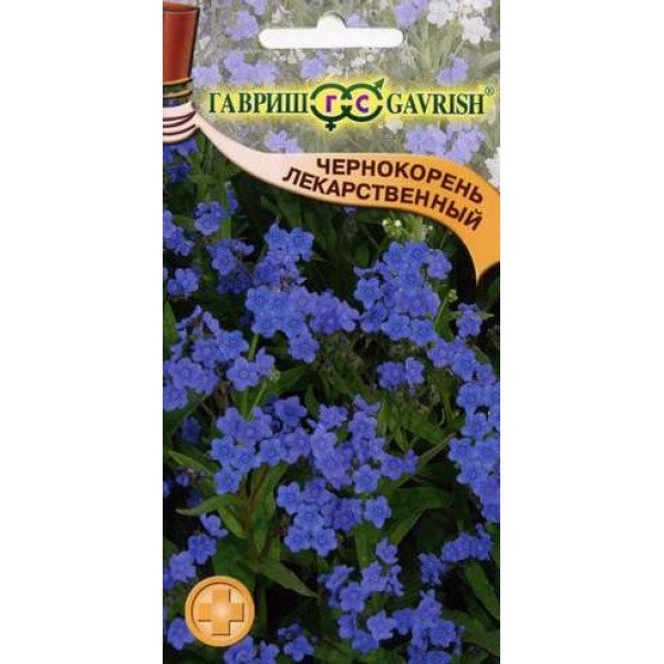Насіння чернокореня лікарського /5 насінин/ *Гавриш*