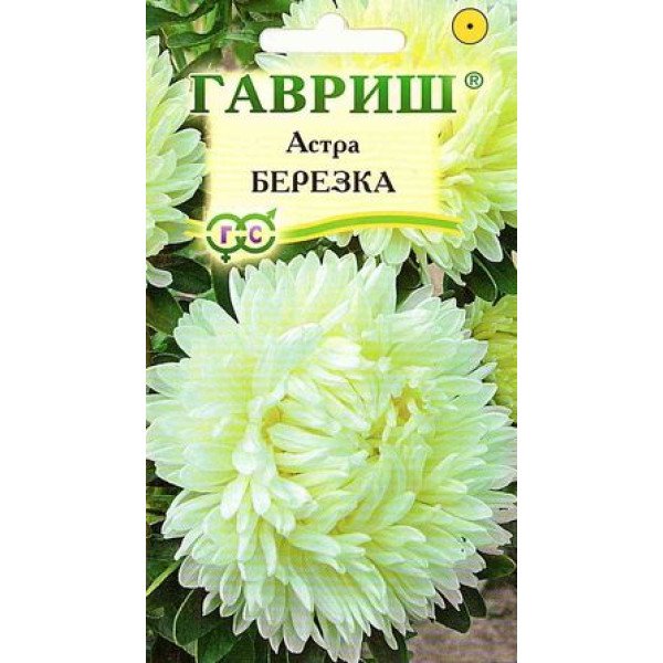 Насіння айстри Берізка /0,3 г/ *Гавриш*