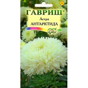 Айстра Антарктида /0,3 г/ *Гавриш*