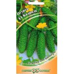Огурец Кадриль F1 /10 семян/ *Гавриш*