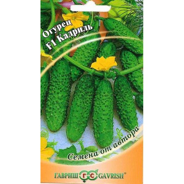 Насіння огірка Кадриль F1 /10 насінин/ *Гавриш*
