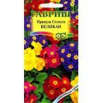 Примула селекта Великан смесь /10 семян/ *Гавриш*