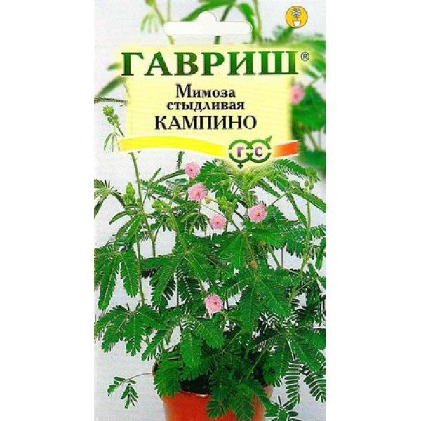 Мимоза стыдливая Кампина /0,1 г/ *Гавриш*
