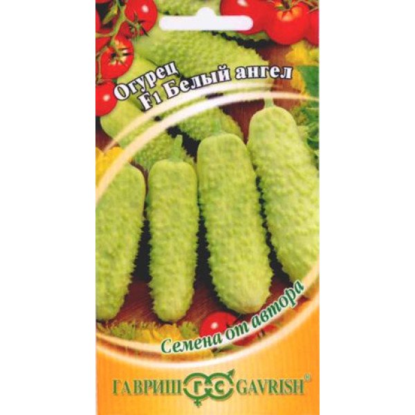Насіння огірка Білий ангел F1 /10 насінин/ *Гавриш*