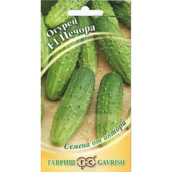 Огурец Печора /10 семян/ *Гавриш*