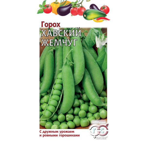 Насіння гороху Хавські перли /10 г/ *Гавриш*