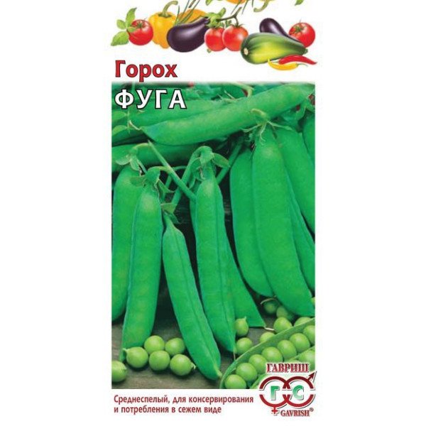 Семена гороха Фуга /10 г/ *Гавриш*
