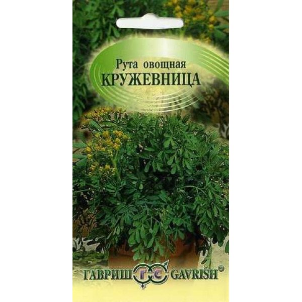 Насіння рути овочевої Кружевниця /0,1 г/ *Гавриш*
