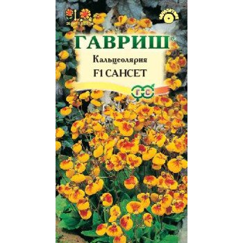 Кальцеолярия Сансет F1 /10 семян/ *Гавриш*