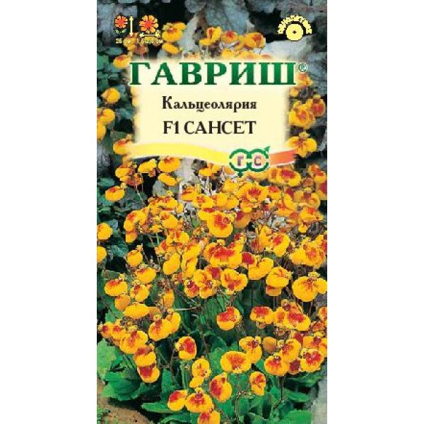 Кальцеолярия Сансет F1 /10 семян/ *Гавриш*